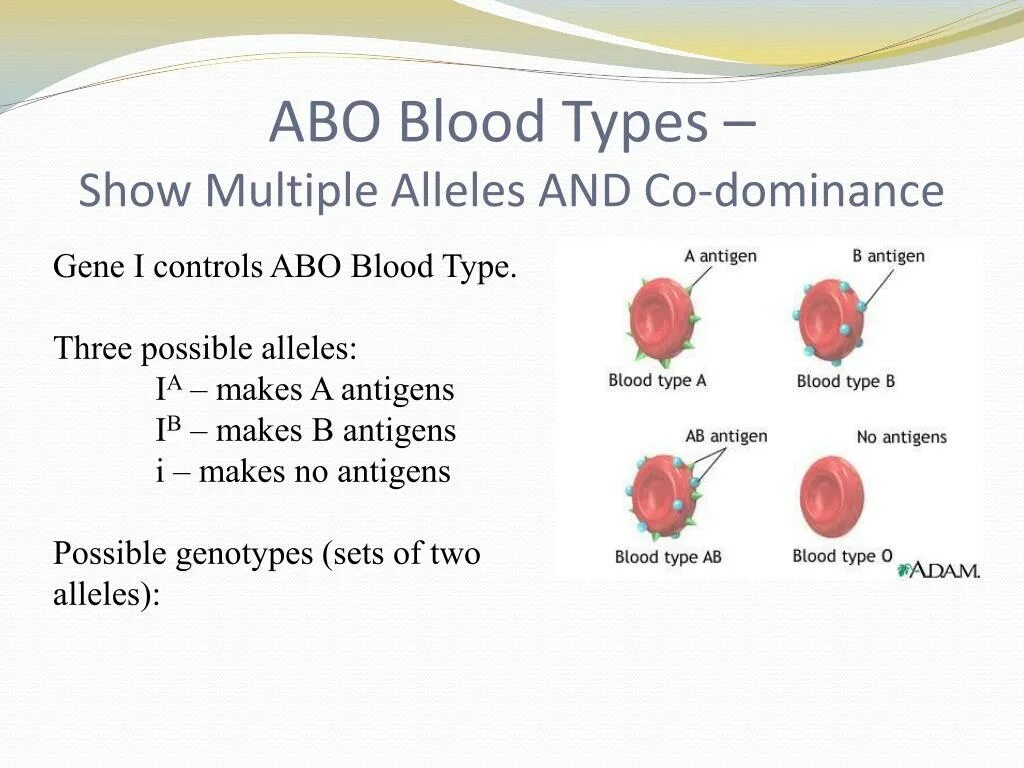 Blood eng. Blood types in english. Blood eng. Blood types in english. Blood eng.