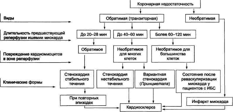 Острая сердечная коронарная недостаточность. Коронарная недостаточность механизм развития. Факторы острой недостаточности коронарного кровообращения:. Виды, клинические формы и исходы коронарной недостаточности. Механизмы формирования коронарной недостаточности.