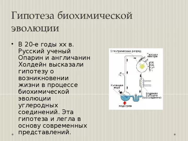 Основные этапы биохимической эволюции Опарина. Биохимическая гипотеза Опарина таблица. Биохимическая гипотеза возникновения жизни доказательства. Биохимическая гипотеза схема. Гипотеза биохимического зарождения жизни