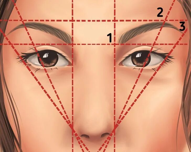 Designer Store ❤ on Instagram: "Aprenda a matemática da sobrancelha!" Tutorial d