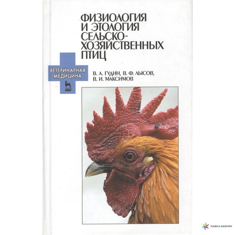 Физиология и этология животных. Этология птиц. основы физиологии и этологии животных лысов в.ф учебник. основы физиологии лысов максимов.