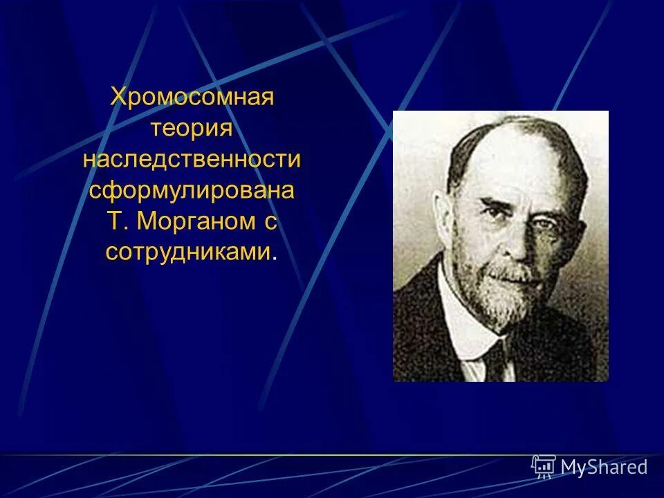 Развитие теории наследственности. Хромосомная теория наследственности т Моргана. Хромосомную теорию наследственности сформулировал т Морган. Автор хромосомной теории наследственности. Теория наследственности Моргана формулировка.