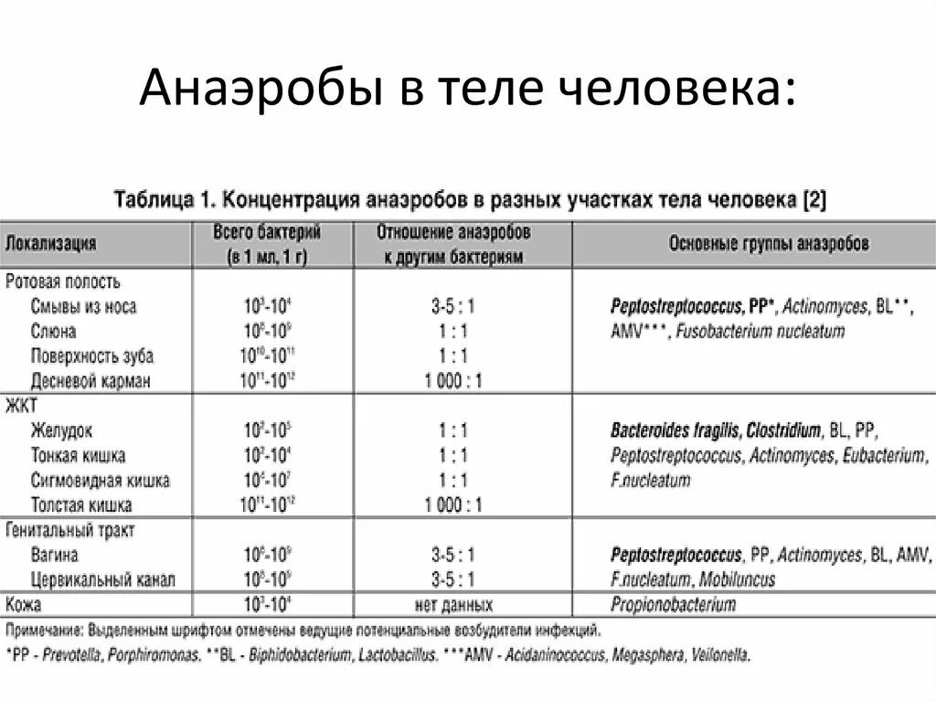 Анаэробные бактерии. Анаэробные организмы. Основные возбудители анаэробной инфекции. Пример аэробных и анаэробных инфекций. Примеры аэробных