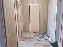 Жемчужина наримановская 54