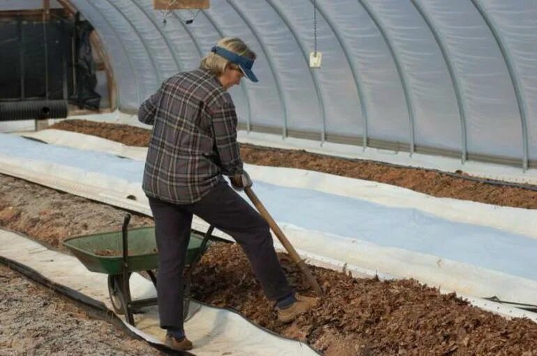 Чем удобрить землю в теплице весной. Перекопка почвы в теплице. Подготовка грунта в теплице. Подготовка земли в теплице. Уборка теплицы.