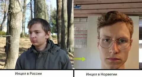 Пасынок девственник