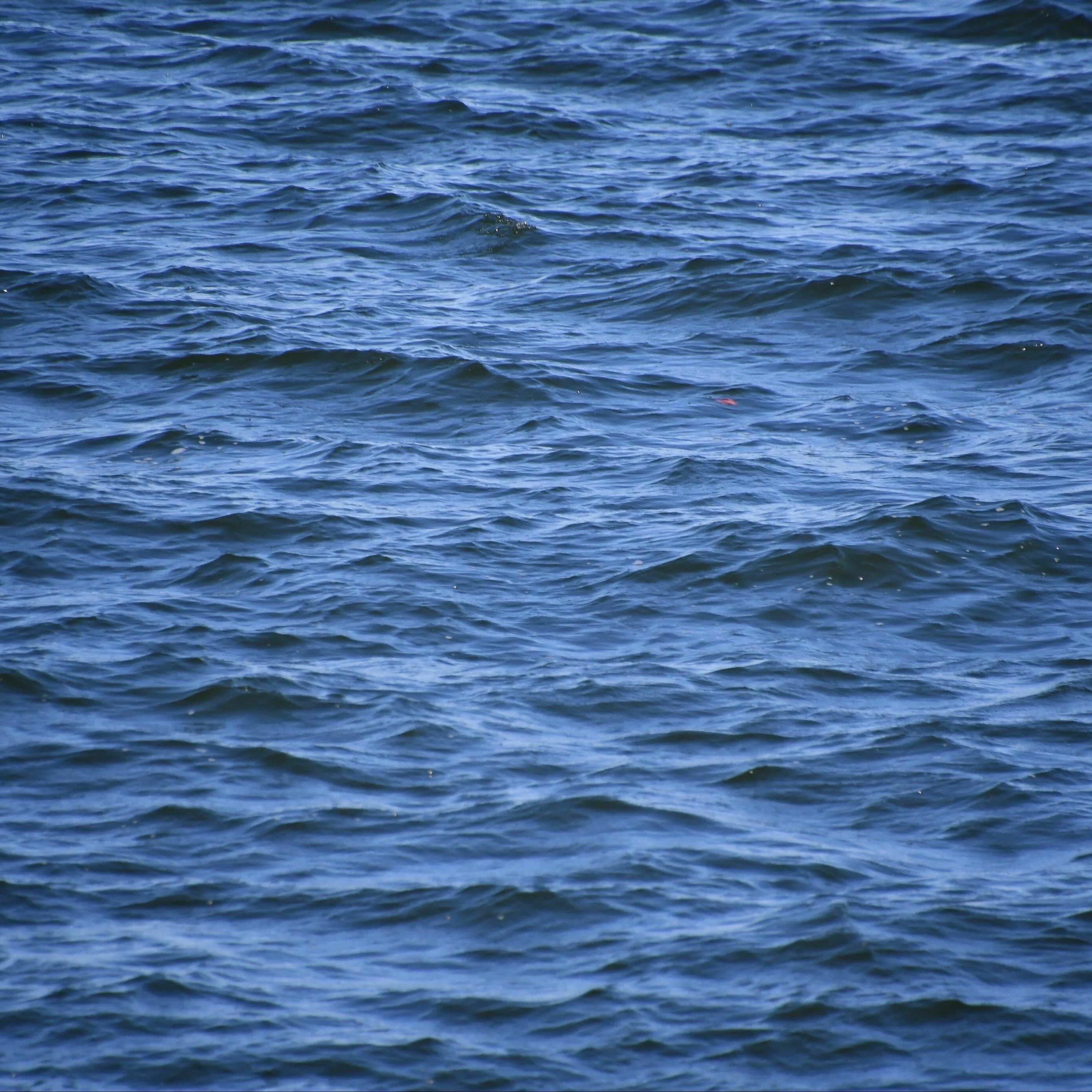 Что такое зыбь. Морская зыбь. Рябь на воде. Зыбь в море. Поверхность воды.
