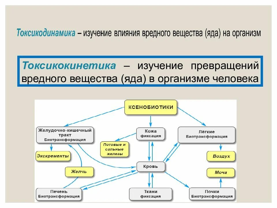 Токсикокинетика токсических веществ. Токсикология презентация. Токсикодинамика и токсикокинетика токсических веществ. Трансформация вредных веществ.