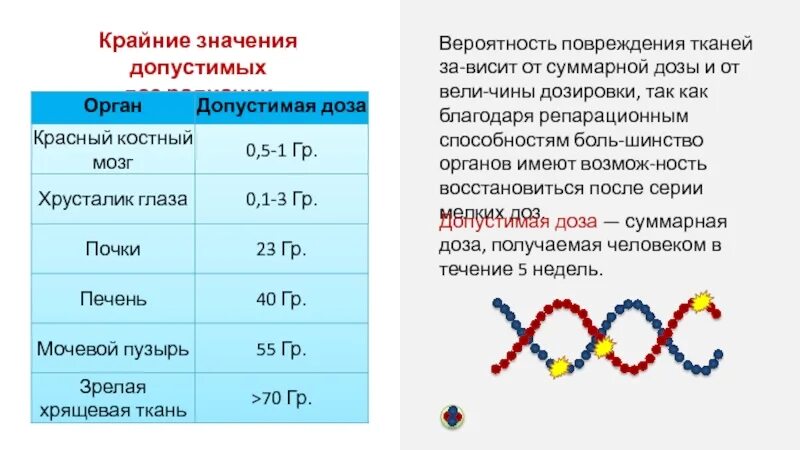 Воздействие радиоактивного излучения на живые организмы. Влияние радиоактивного облучения на живые организмы. Воздействие радиационного излучения на живые организмы. Негативное воздействие радиации на живые организмы