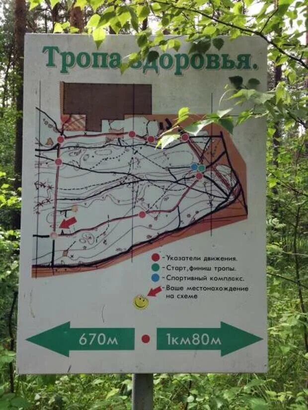 Тропа здоровья екатеринбург академический карта. Парк в нефтекамске тропа здоровья. Тропа здоровья березовский протяженность. Боткинская тропа здоровья в крыму. Экологическая тропа северное кольцо южно-сахалинск.