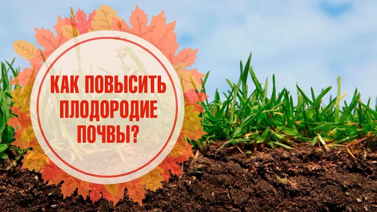 Плодородие почвы. Повышение плодородия почвы. Что повышает плодородие почвы. Способы охраны и повышения плодородия почвы. Плодородие почвы осенью.