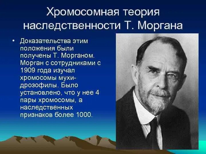 Развитие теории наследственности. Теории наследственности т. Моргана. Теория Томаса Моргана. Т. Морган создал хромосомную теорию наследственности в. Хромосомная теория наследственности т Моргана.