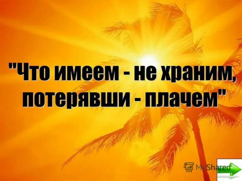 Что имеем не зраним потерявши плаче. Цитаты про ключи. Статусы про одиночество. Стих что имеем не ценим. Меня все зае.