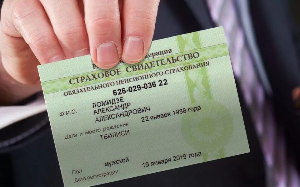 Как получить номер снилс. Снилс. номер снилс. снилс карточка.