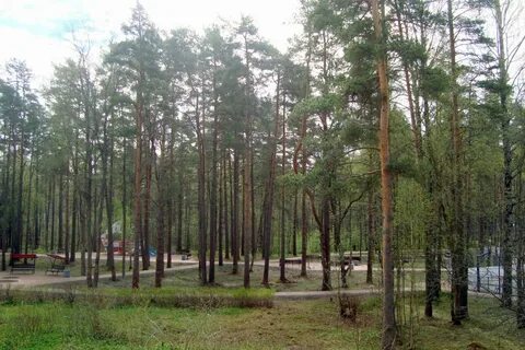 Молодежное ленинградская область