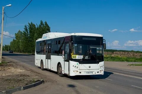 411 автобус пенза