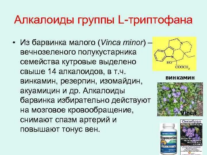 Винкамин алкалоид Барвинка. Барвинок малый алкалоиды. Производные алкалоидов Барвинка. Алкалоид Барвинка малого препараты.