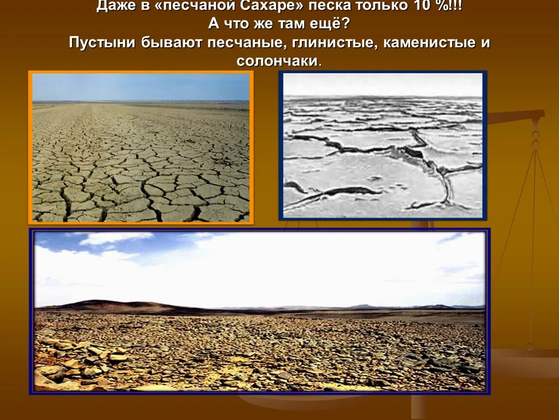 Каменистые почвы пустыни. Почвы пустыни в России. Глинисто каменистая почва пустыни. Глинистая почва пустыни России.