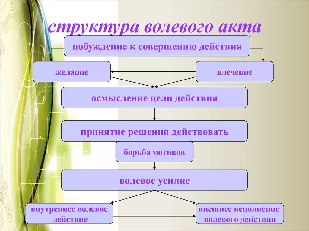 Структура волевого действия (с. л. Рубинштейн).. Психологическая структура волевого акта. Психологическая структура волевого поведения. Структура сложного волевого акта.