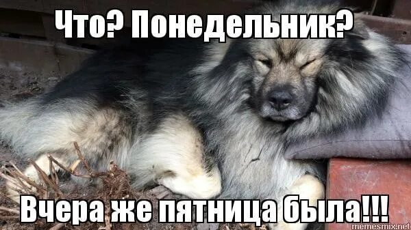 Вчера было вообще. Вчера была пятница. после пятницы понедельник. вчера был понедельник сегодня пятница. и снова понедельник.