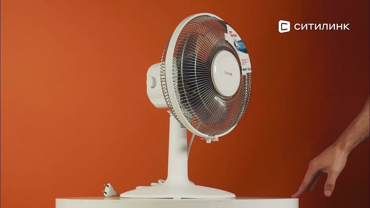 Вентилятор тефаль настольный. Tefal essential вентилятор. Tefal вентилятор настольный. Tefal vf6210f0. Tefal вентилятор настольный.