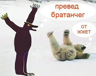 Превед