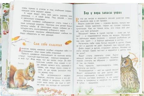 Рассказы виталия бианки лесная газета