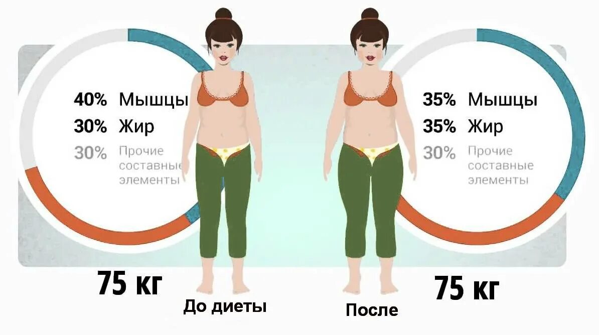 На какой день уходит жир. Соотношение мышц и жира в теле. Норма жира в организме. Процент жира и мышц. Соотношение жир вода мышцы.