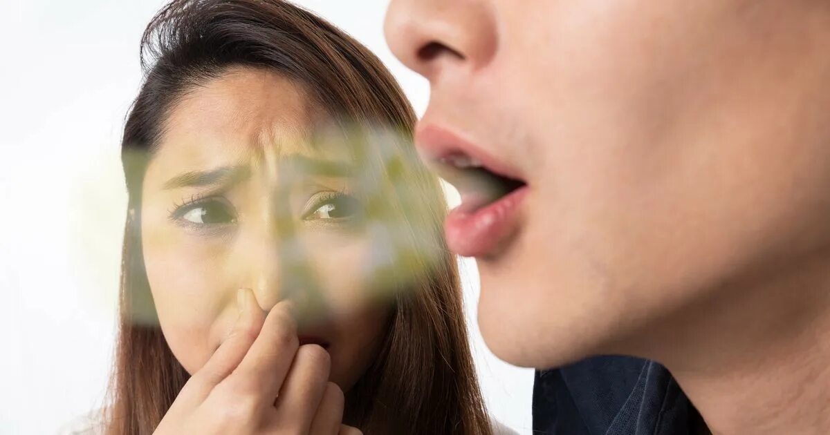 Запах изо рта почки. Свежее дыхание. плохой запах. halitosis.