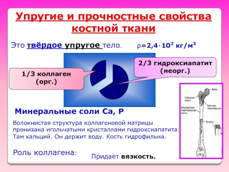 Какое свойство придают костям минеральные вещества. Механические свойства костной ткани. Механические свойства биологических тканей костной. Упруго-прочностные свойства. Упругие и прочностные свойства костной ткани.