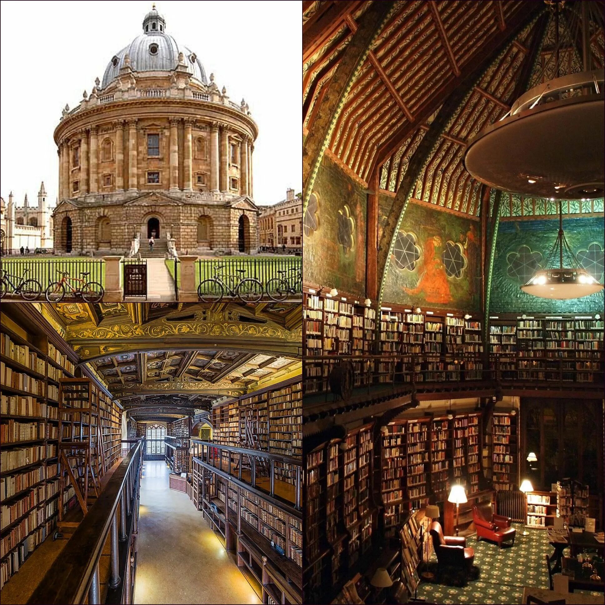Oxford university books. Картинка oxford university press. Библиотека британского музея. Бодлианская библиотека bodleian library. Oxford university books.