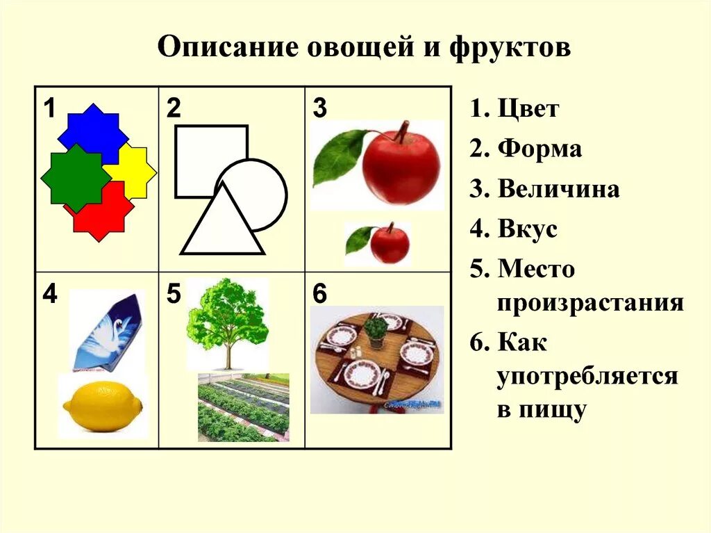 Схема фруктов. Схема описания овощей для дошкольников. Схема составления описания для дошкольников. Схема для описания овощей и фруктов. Описание овощей.