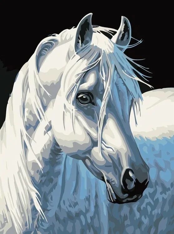 Белый конь живопись. Красивая книга с лошадью. Белая лошадь кадниково. Красивые картины лошадей. Белый конь арт.