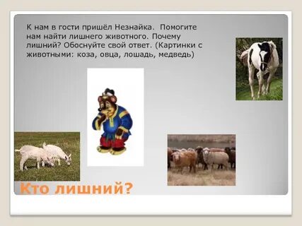 Почему животные разные