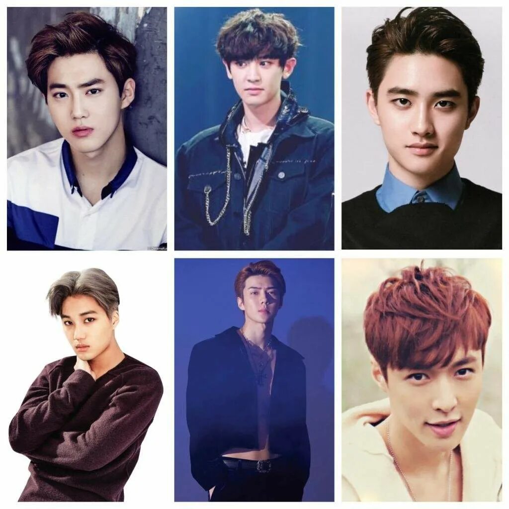 эхо имена. группа exo участники имена. участники группы ехо имена. группа exo участники фото. участники с именами exo участники.