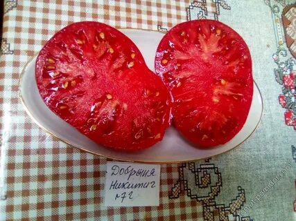 Томат сорт мясо