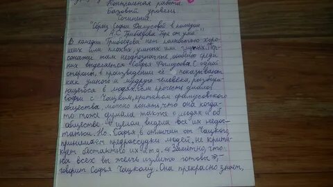 В числе терминов усвоенных критикой сочинение