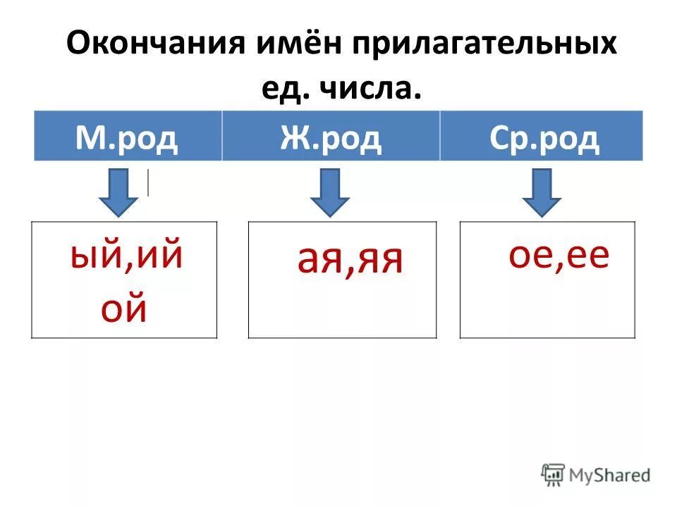 Мужские окончания. Окончания прилагательных по родам. Родовое окончание прилагательных. Окончания прилагательных род. Окончания прилагательных по родам таблица.