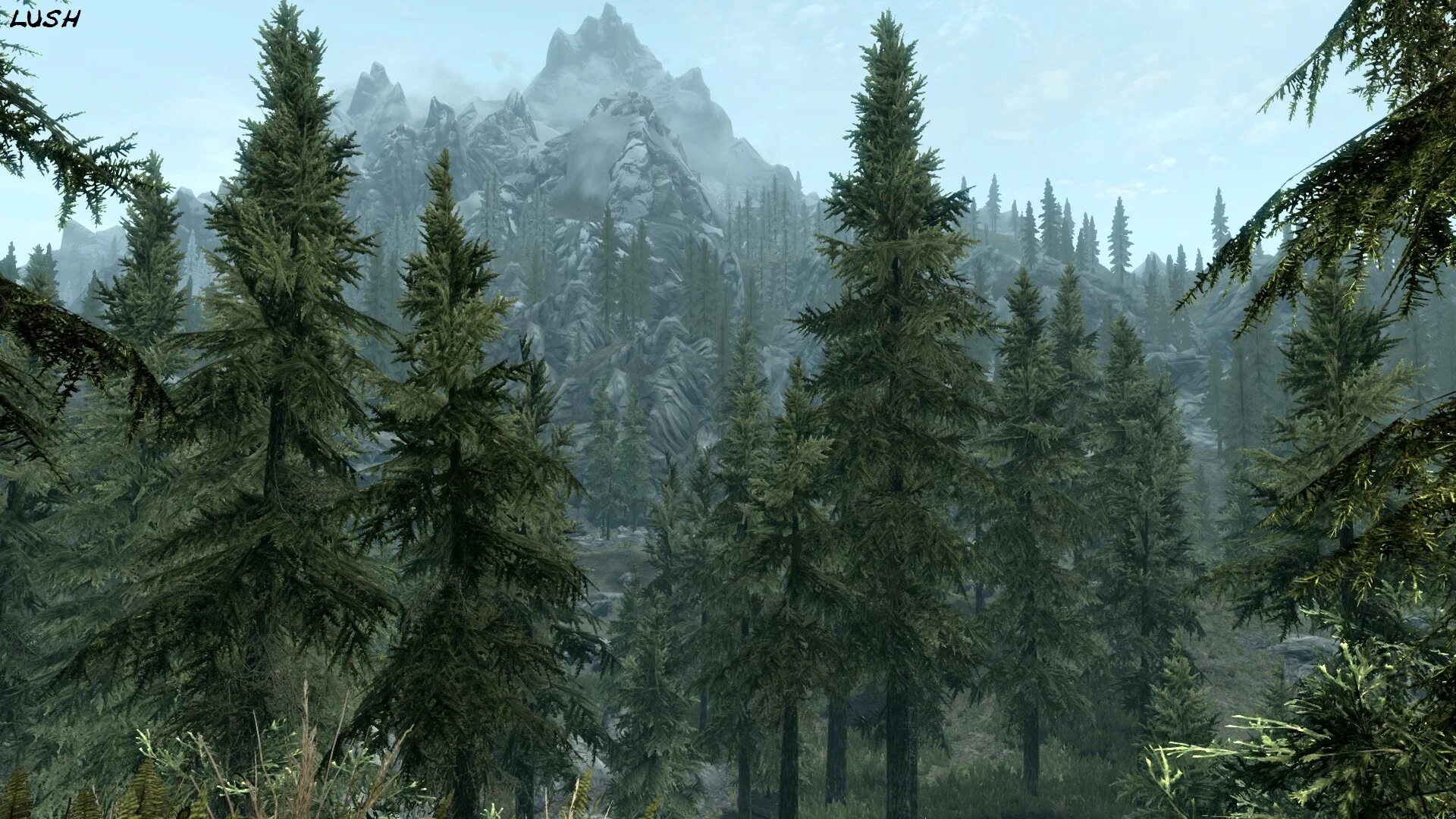 Дерево Скайрима. Лес в играх. Дерево из Скайрима. Скайрим дерево. Trees skyrim