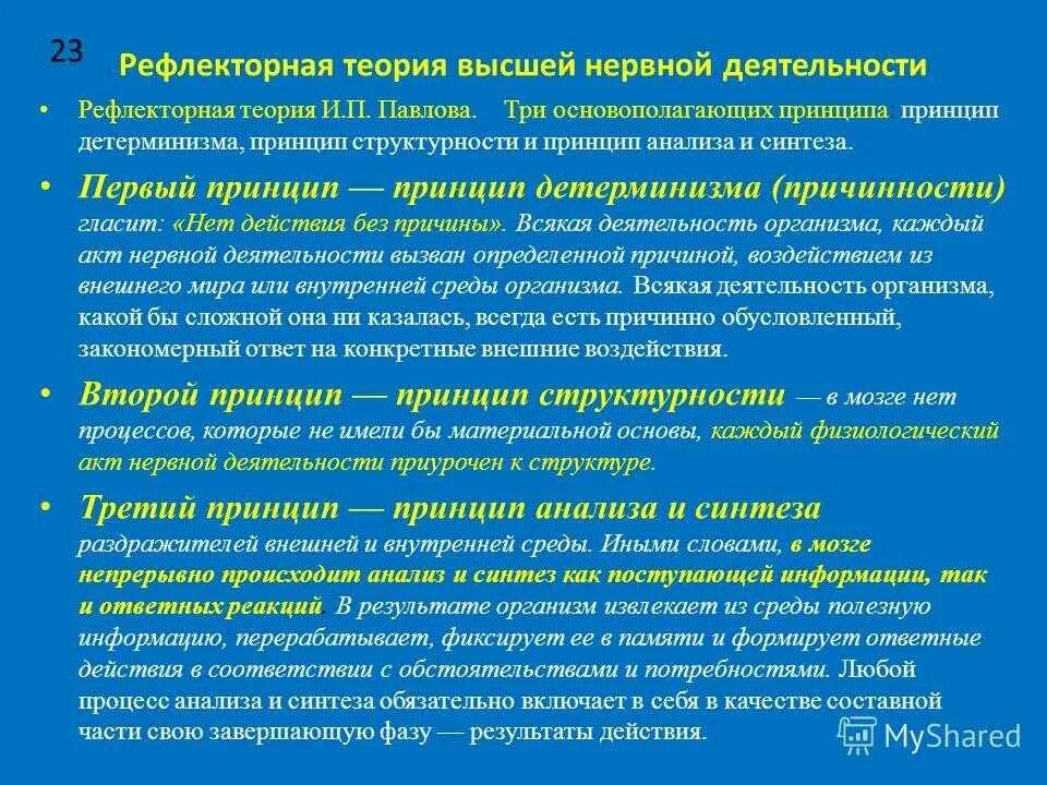 Принципы рефлекторной деятельности. Рефлекторная теория Сеченова и Павлова. Принципы рефлекторной теории. Основные положения рефлекторной теории.