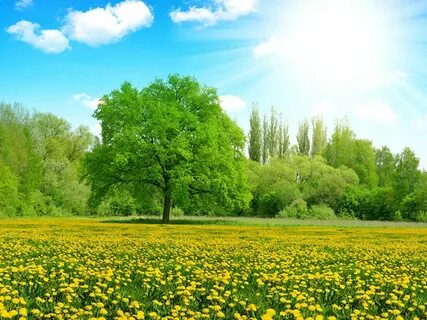 16 солнечный день