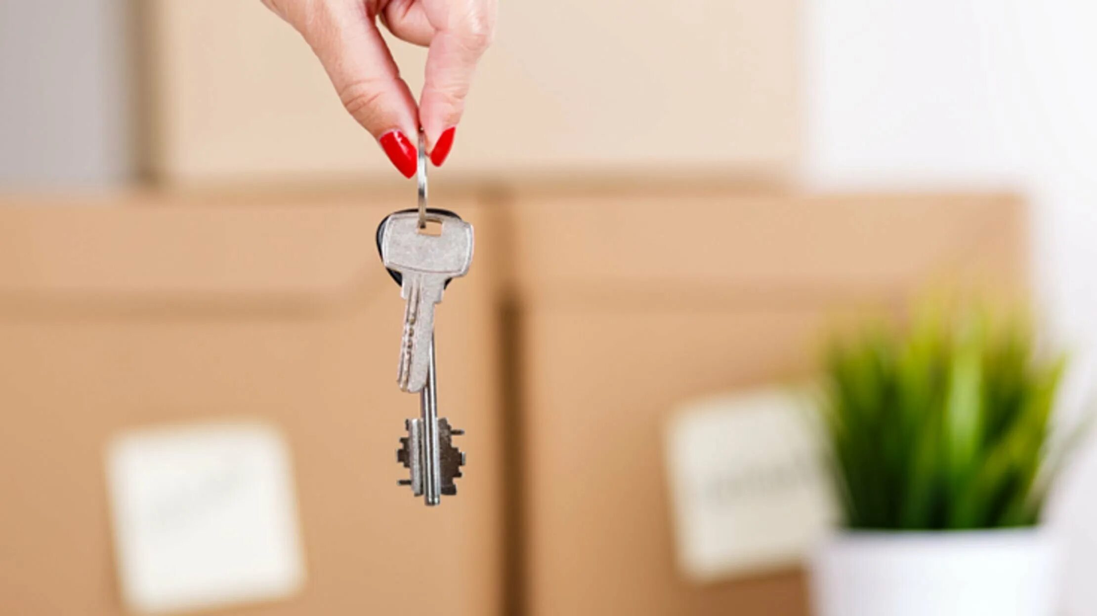 Запиши по группам ключи от квартиры. Ключи от квартиры в руке. Ключ рука квартира. Ключ в руке. Красивые ключи от квартиры.