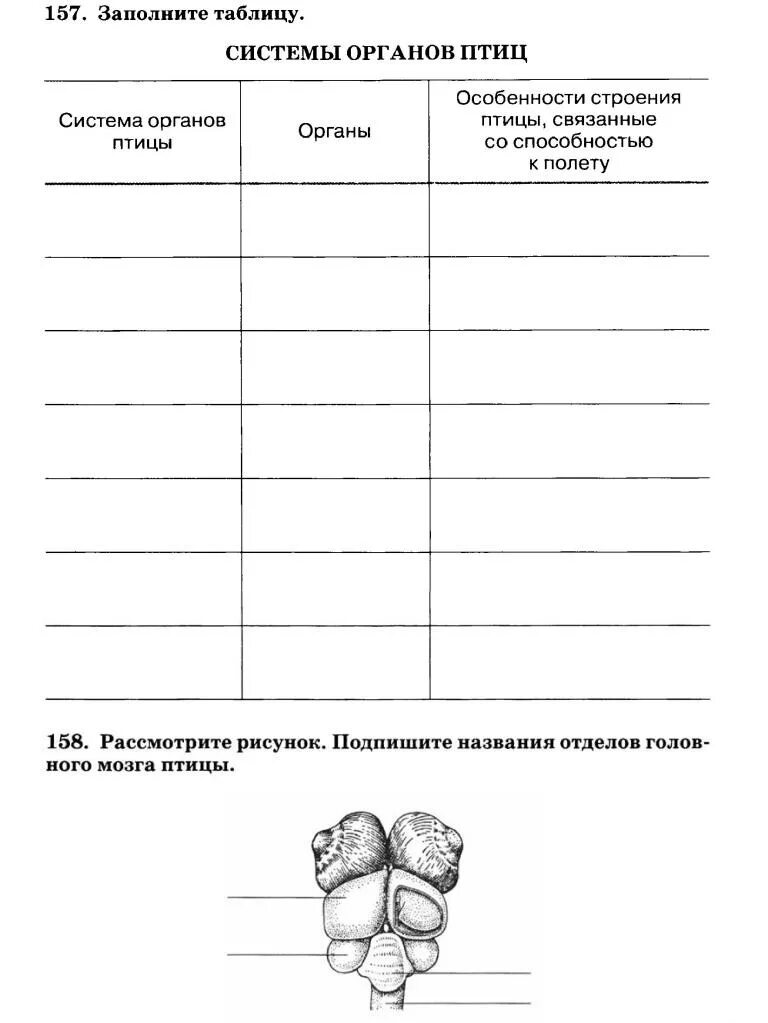 Класс птицы 7 класс рабочая тетрадь. Системы органов птиц таблица 7 класс биология. Система органов органы функции таблица по биологии 7 класс птицы. Таблица органов птиц. Система органов птиц таблица.