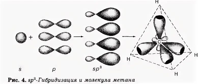 Sp2 гибридные орбитали углерода. Гибридизация орбиталей sp3. Гибридные орбитали sp3 sp2 SP. Гибридизация орбиталей (SP-, sp2 -, sp3 -).