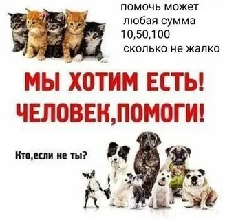 Если можешь помочь помоги животным