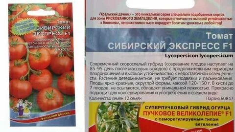 Экспресс описание