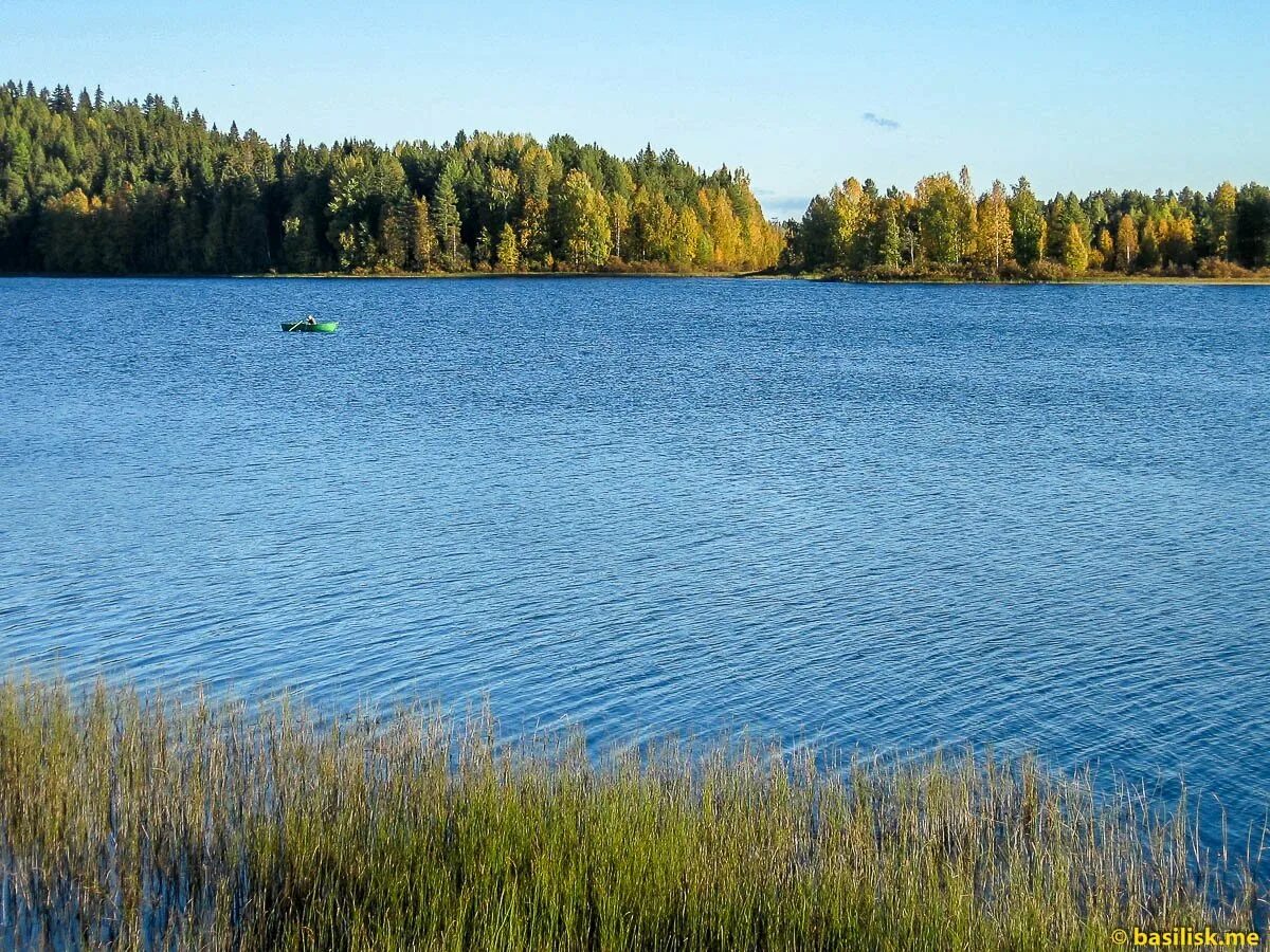 Озеро Андозеро Вологодская область. Озеро Рой Сосновский район Нижегородская. Андозеро (озеро, Онежский район). Озеро плотское Архангельск.