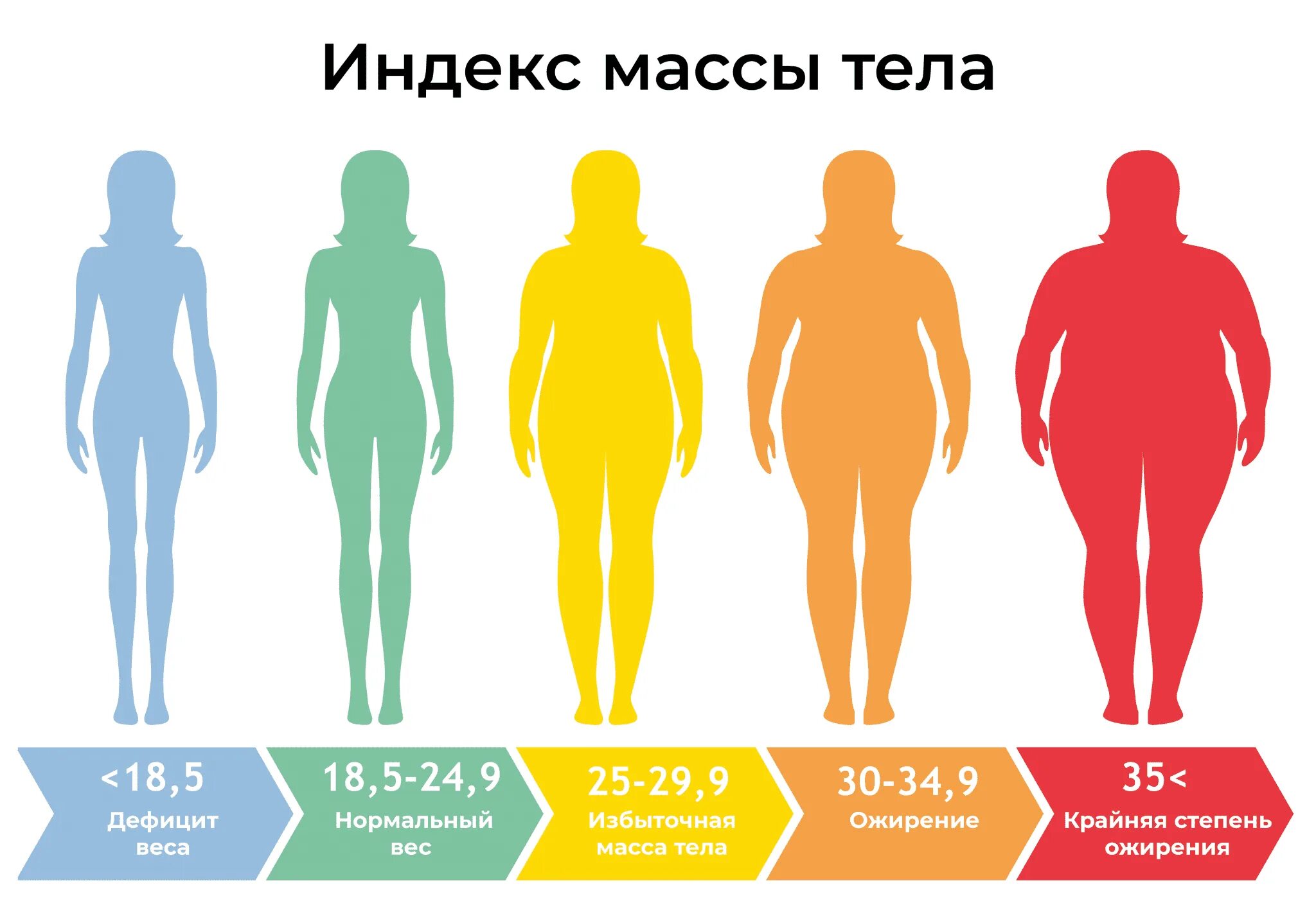 Человек весит 35 кг. Индекс массы тела. Ожирение. Стадии ожирения у женщин. Индекс массы тела (ИМТ).