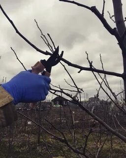 Фото обрезать без потери