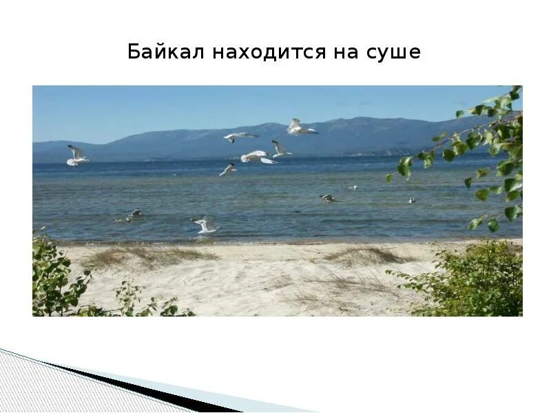 Байкал находится на равнине. Высушенный байкал. сухая байкал.